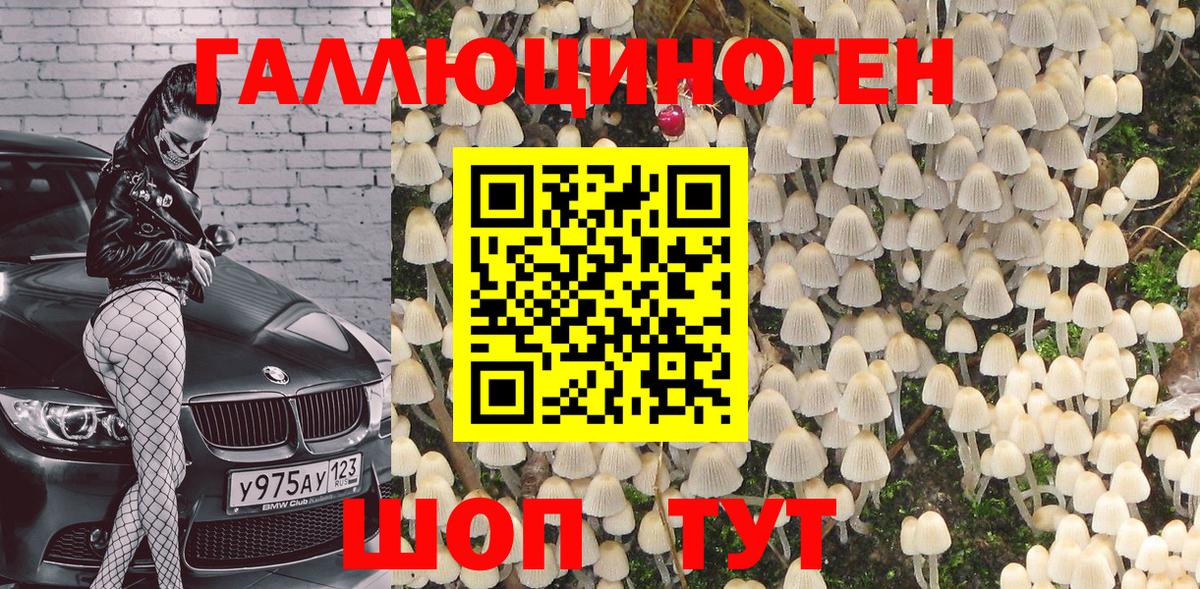 Ангарск  Галлюциногенные грибы Cubensis  Вход с VPN 