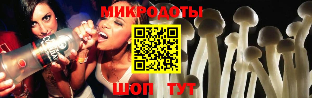 Псилоцибиновые грибы Cubensis Ангарск